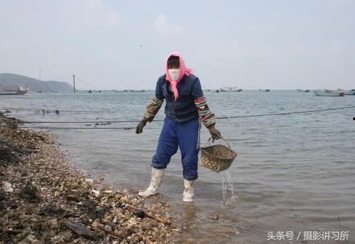广州大海吃瓜视频,一场美食与文化的视觉盛宴