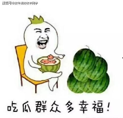 上课vs吃瓜,揭秘学习与娱乐的平衡之道