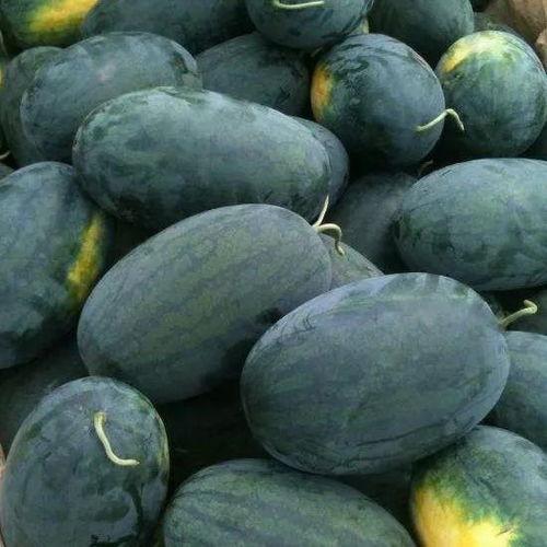 武穴28楼吃瓜,揭秘网络“吃瓜”文化的魅力与争议