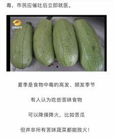 吃瓜网官网免费观看 吃瓜网官网,免费观看，畅享娱乐盛宴