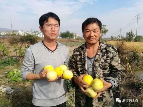 吃瓜群众1305,揭秘网络热议背后的真相