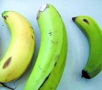 黄香蕉葫芦瓜咋吃,黄香蕉葫芦瓜的多样食法探索