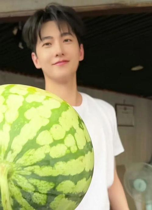 杨洋吃瓜图文,揭秘娱乐圈幕后真相