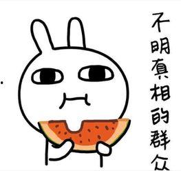 吃瓜模式拍照,揭秘娱乐圈幕后故事