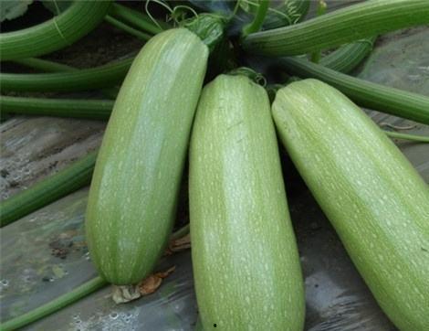 吃瓜不信瓜皮肤,揭秘网络谣言背后的真相