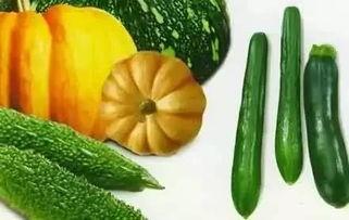 吃瓜好物,吃瓜好物大盘点