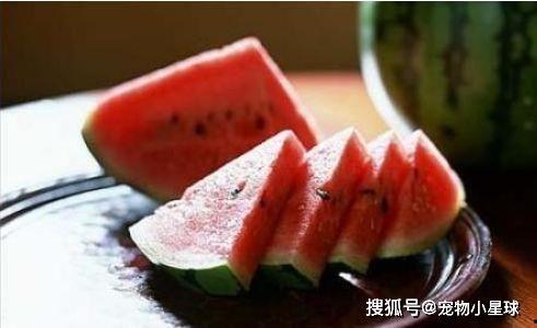 吃瓜直播老田,揭秘老田的直播魅力与影响力