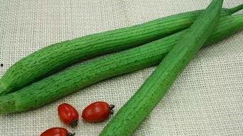 豆瓣八组吃瓜bot