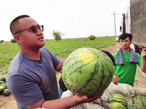 耀龙吃瓜,揭秘娱乐圈幕后故事