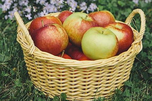 梦见摘苹果瓜吃,揭秘摘苹果瓜的神秘寓意