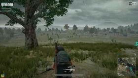 吃鸡直播瓜崽,揭秘游戏背后的精彩故事