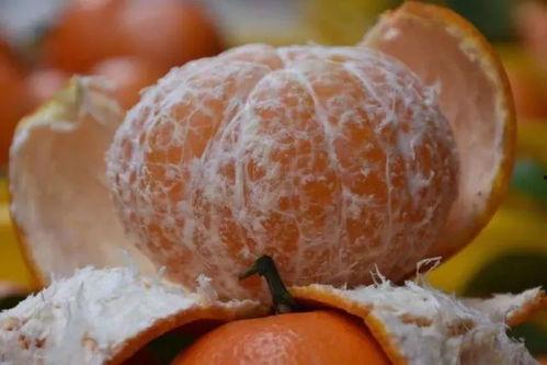 吃瓜沃柑,吃瓜者的甜蜜诱惑