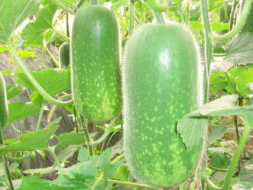 阿碴吃瓜,揭秘娱乐圈背后的那些事儿