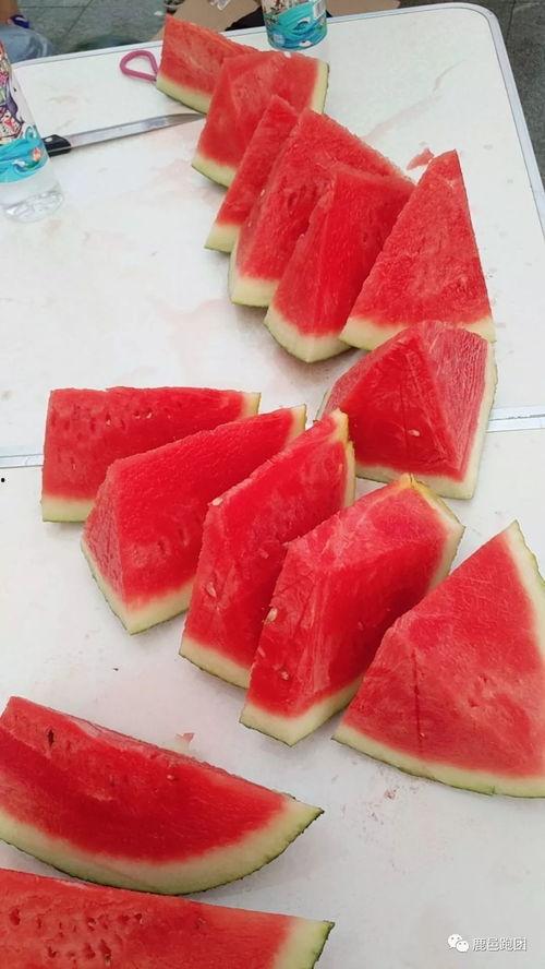 吃瓜大赛具体时间,吃瓜大赛精彩时刻回顾”