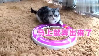 吃瓜焦虑症,网络时代下的心理困境